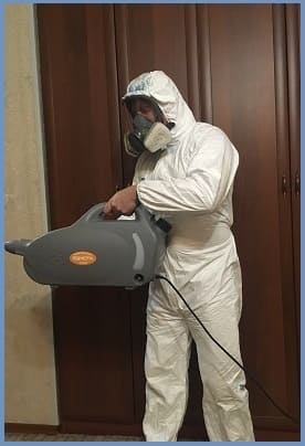 dezinfektsiya ot tarakanov v kapotne.jpg