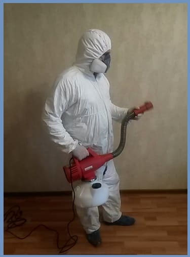 insect disinfection Istra
