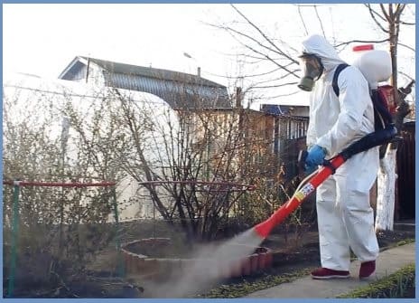 obrabotka uchastka ot muravev v elektrogorske