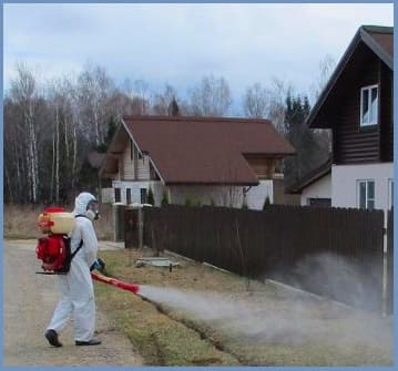 unichtozhenie muravev v elektrouglyakh