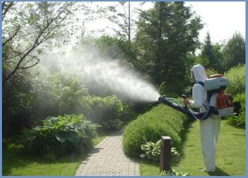 обработка от клещей на участке Куровское