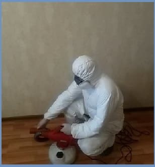 уничтожение насекомых Звенигород