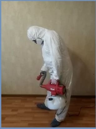 уничтожение насекомых САО